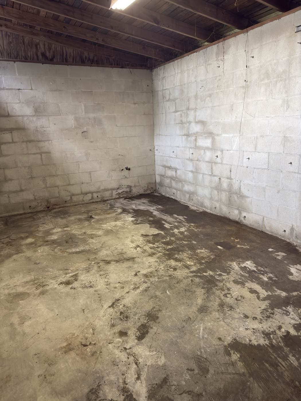 Same shed interior completely cleared to bare concrete and cinderblock after JCE cleanout