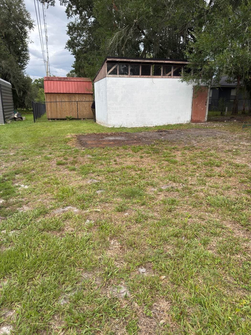 Cleared yard with sheds visible after cleanout
